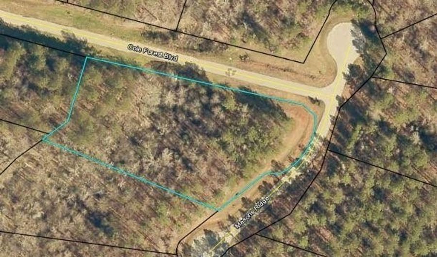 Lot 51 Cole Forest Blvd LOT 51, Barnesville, GA 30204 - 0 Beds, 0 Bath