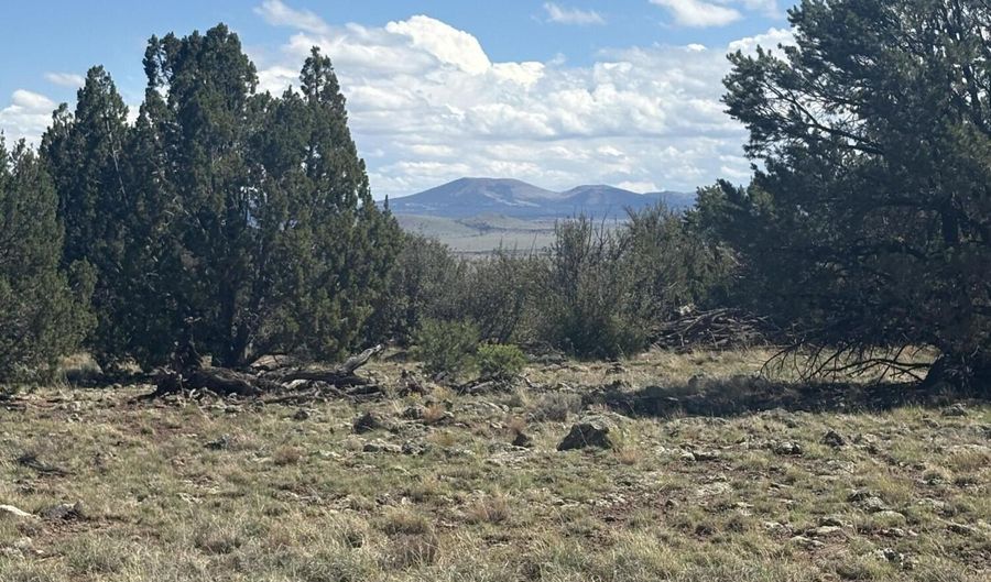 0201 County Rd, Concho, AZ 85924 - 0 Beds, 0 Bath