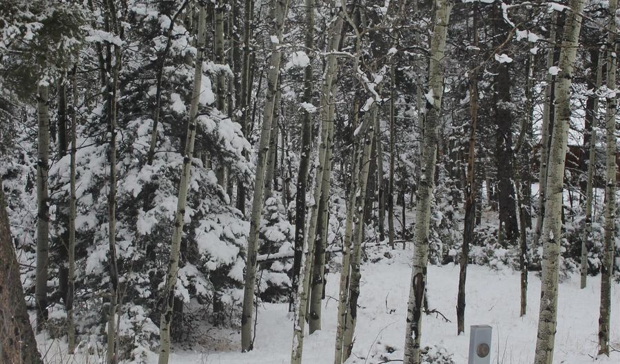 El Camino Real lot 684, Angel Fire, NM 87710 - 0 Beds, 0 Bath