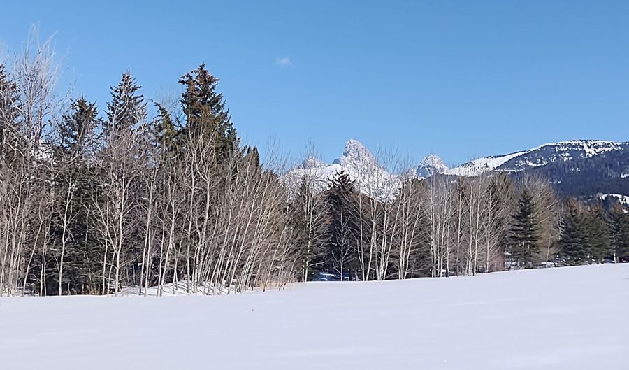 445 TARGHEE TOWNE Rd, Alta, WY 83414 - 0 Beds, 0 Bath