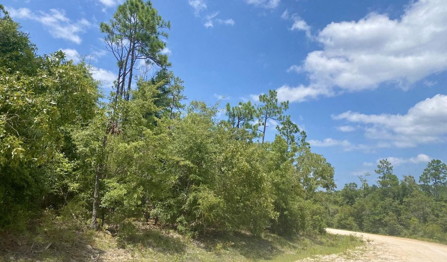 Noble Circle lot 13, Alford, FL 32420 - 0 Beds, 0 Bath