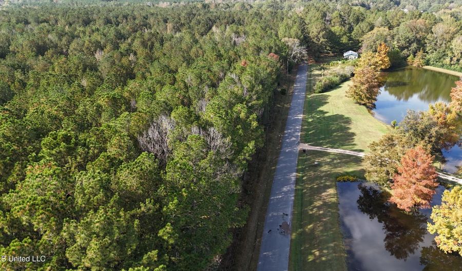 Old Pinola Braxton Road, Braxton, MS 39044 - 0 Beds, 0 Bath