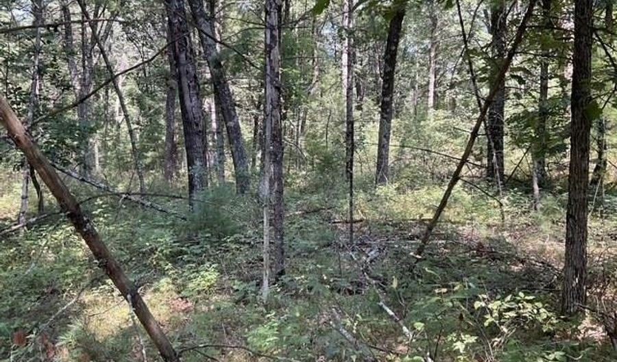 Parcel 18th Avenue, Arkdale, WI 54613 - 0 Beds, 0 Bath