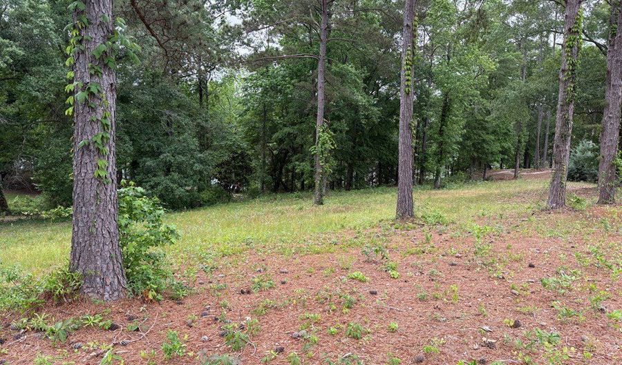 0 Powell Trce, Abbeville, AL 36310 - 0 Beds, 0 Bath