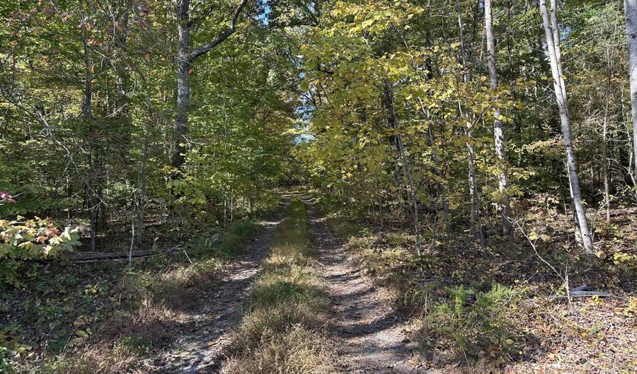 Lot 1215 Iron Gate Drive, Baneberry, TN 37890 - 0 Beds, 0 Bath