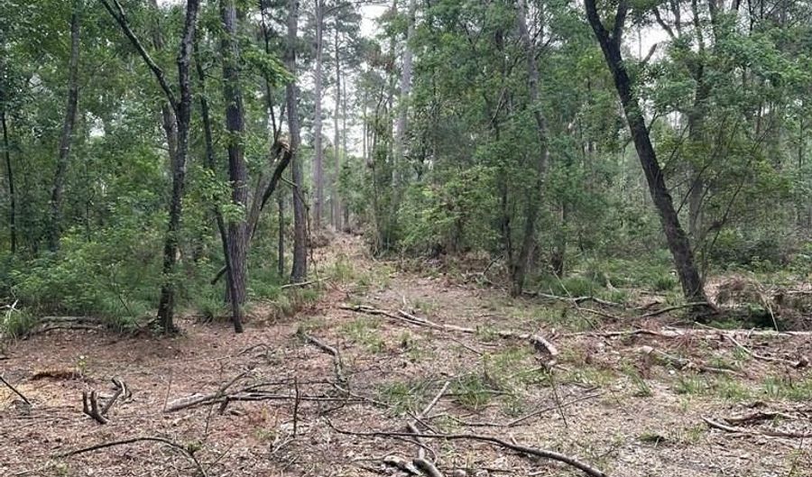 R15685 Moore Cemetery Road, Apple Springs, TX 77519 - 0 Beds, 0 Bath