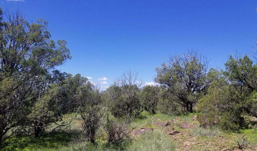 1550 W Joseph Dr, Ash Fork, AZ 86320 - 0 Beds, 0 Bath