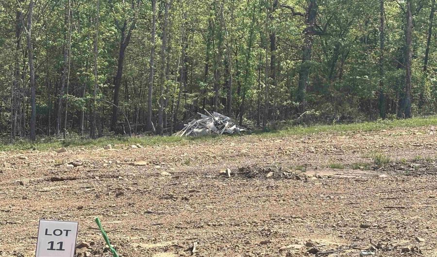Lot 11 Madeleine Circle, Austin, AR 72007 - 0 Beds, 0 Bath