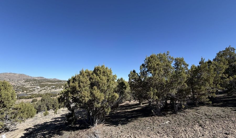 Andy's Way, Elko, NV 89801 - 0 Beds, 0 Bath