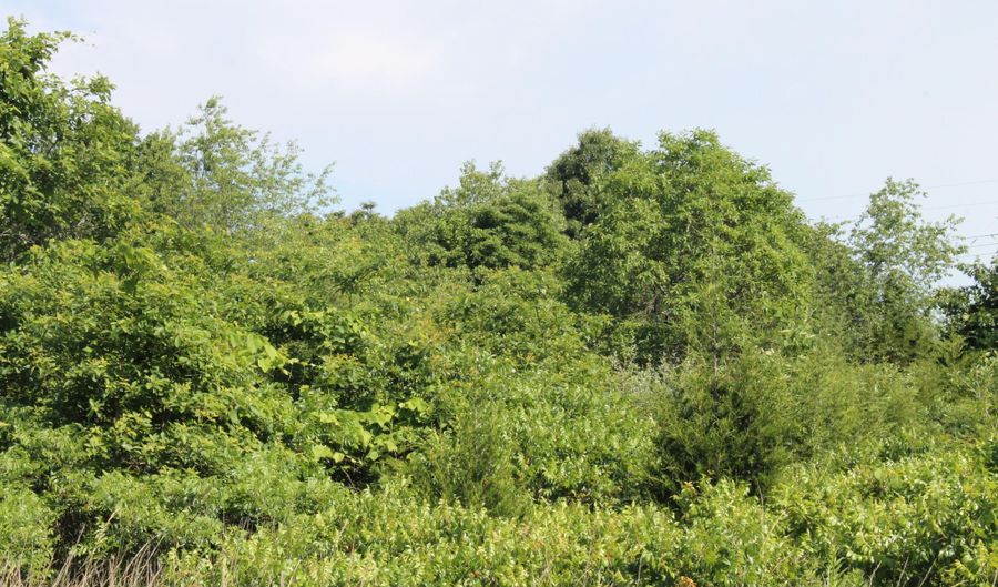 Chestnut Street, Aurora, MO 65605 - 0 Beds, 0 Bath