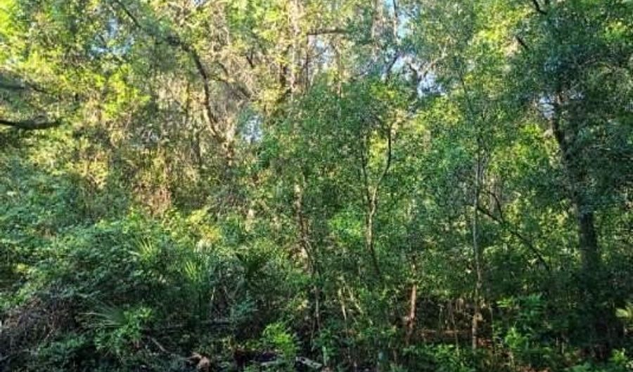 54 Fort Holmes Trl, Bald Head Island, NC 28461 - 0 Beds, 0 Bath