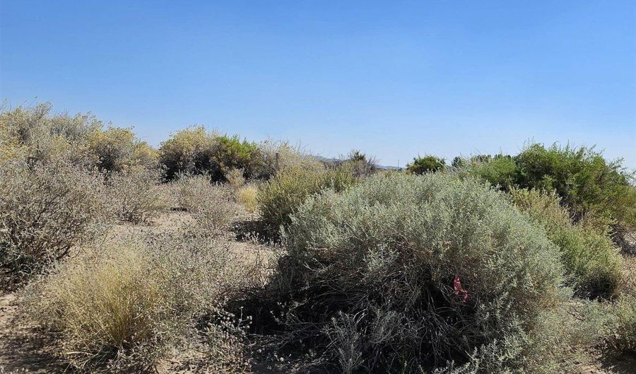 8245 Kamibo Dr, Fallon, NV 89406 - 0 Beds, 0 Bath