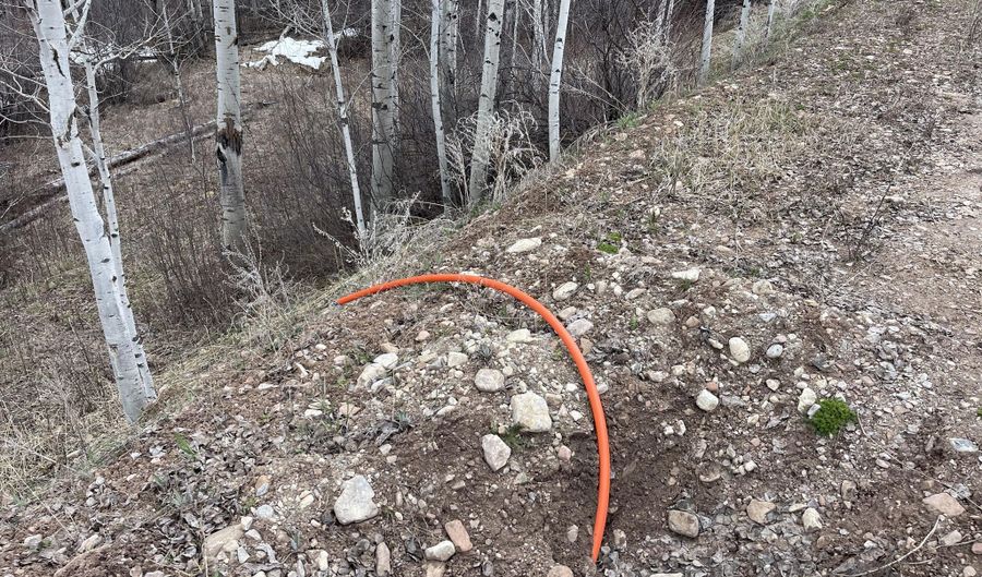 777 RICHARDSON CREEK Rd, Afton, WY 83110 - 3 Beds, 2 Bath