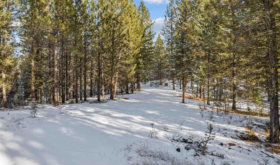 34 Silver Cloud Dr, Cascade, ID 83611 - 0 Beds, 0 Bath