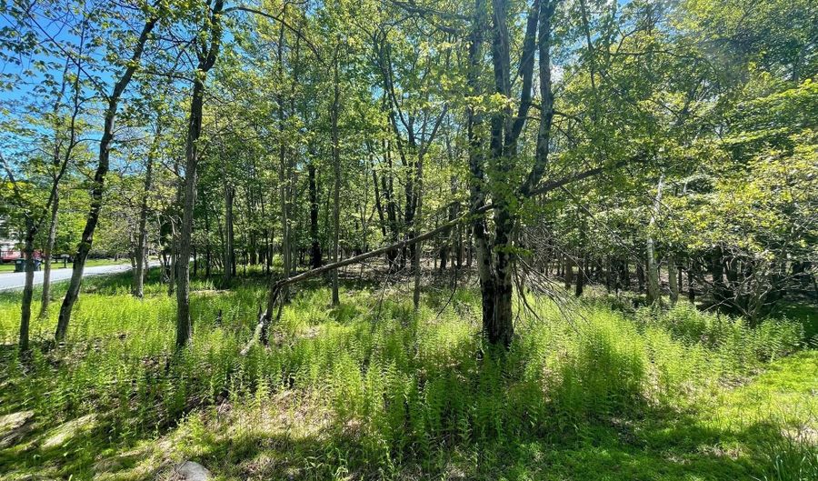 EV804 Stoney Mountain Road & Milton Way, Albrightsville, PA 18210 - 0 Beds, 0 Bath