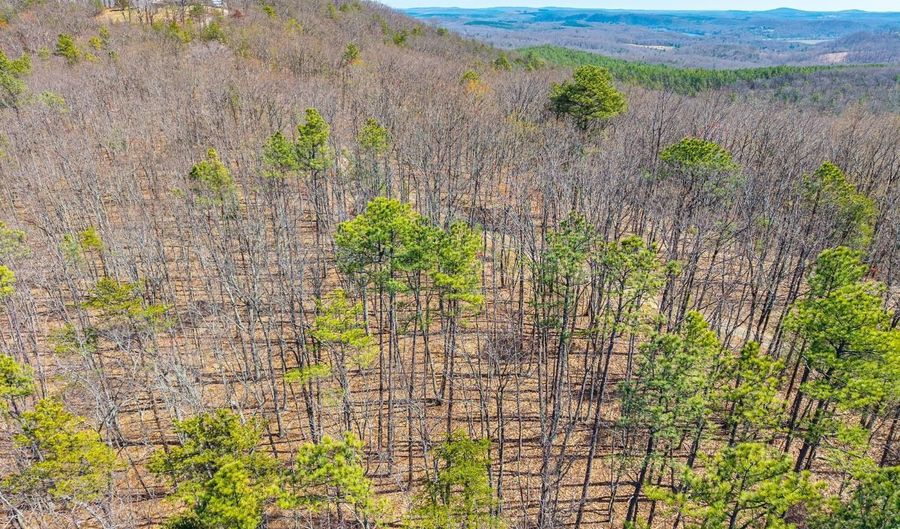 Larkin Mountain, Amherst, VA 24521 - 0 Beds, 0 Bath
