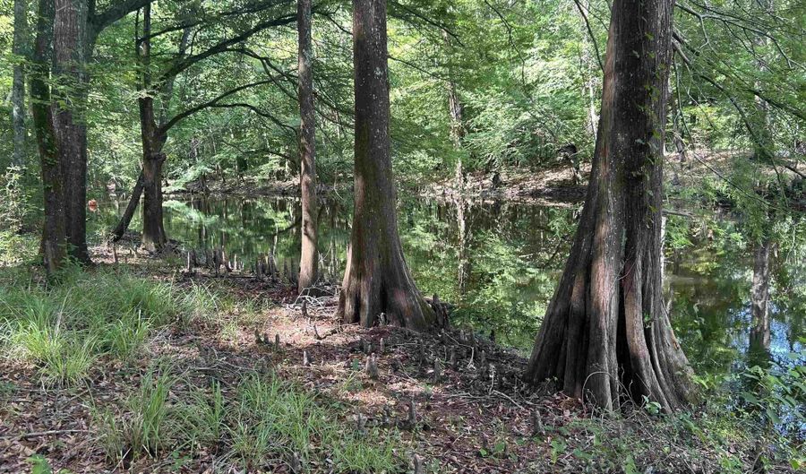 119 BUD DAVIDSON Rd, Bernice, LA 71222 - 3 Beds, 2 Bath