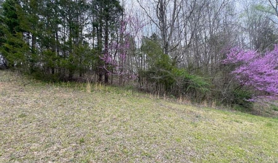 Lot 81 Cheyenne Pass Road, Austin, KY 42123 - 0 Beds, 0 Bath