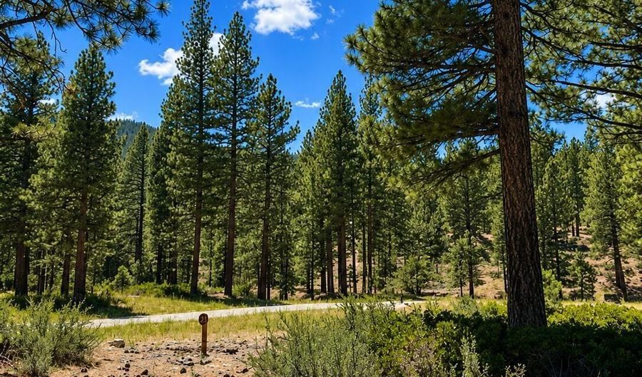 406 Rose Summit Trl Lot 348, Carson City, NV 89705 - 0 Beds, 0 Bath
