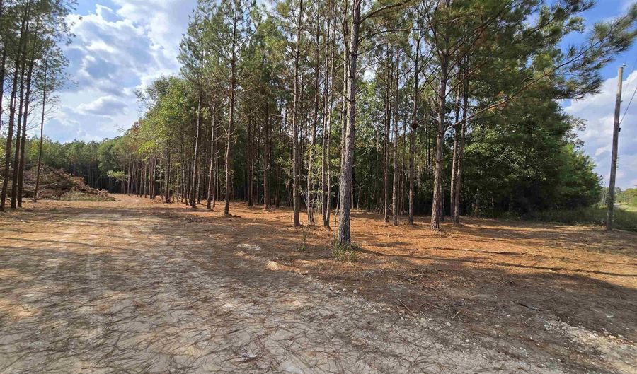 5 88 Acres COVINGTON AVENUE Lot 16 Trac1 And Trac2, Attalla, AL 35954 - 0 Beds, 0 Bath