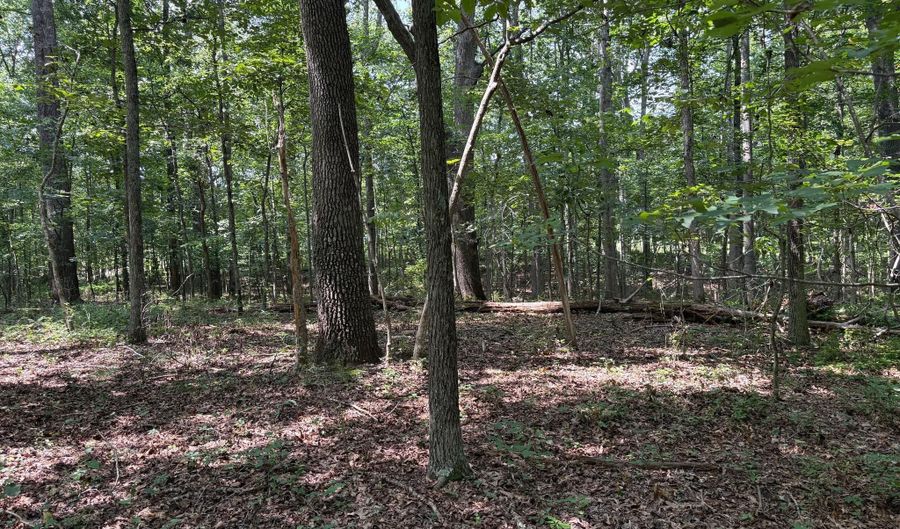 WEAVER ROAD, Amissville, VA 20106 - 0 Beds, 0 Bath