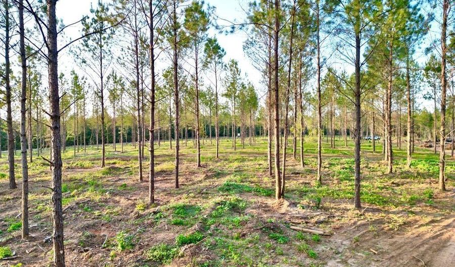 4 AL SR 223, Banks, AL 36005 - 0 Beds, 0 Bath