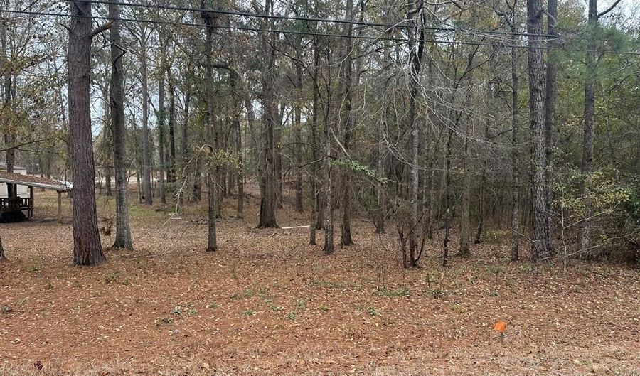 0 County Road 97, Abbeville, AL 36310 - 0 Beds, 0 Bath