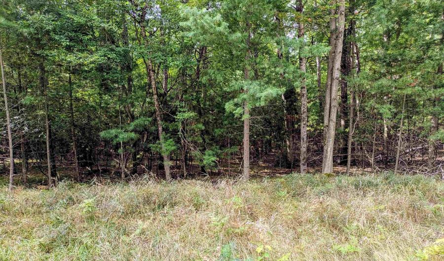 Buffalo Trail, Alger, MI 48610 - 0 Beds, 0 Bath