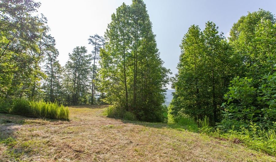 1200 Tobacco Branch Rd, Almond, NC 28702 - 0 Beds, 0 Bath