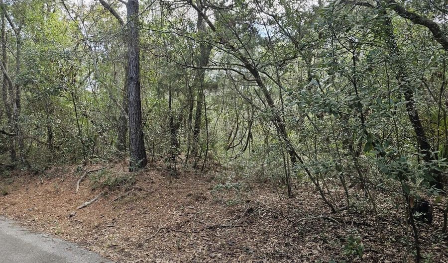 5 Musket Ct, Bald Head Island, NC 28461 - 0 Beds, 0 Bath