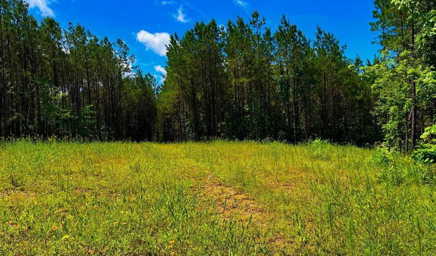 Arthur Drive, Brookhaven, MS 39601 - 0 Beds, 0 Bath