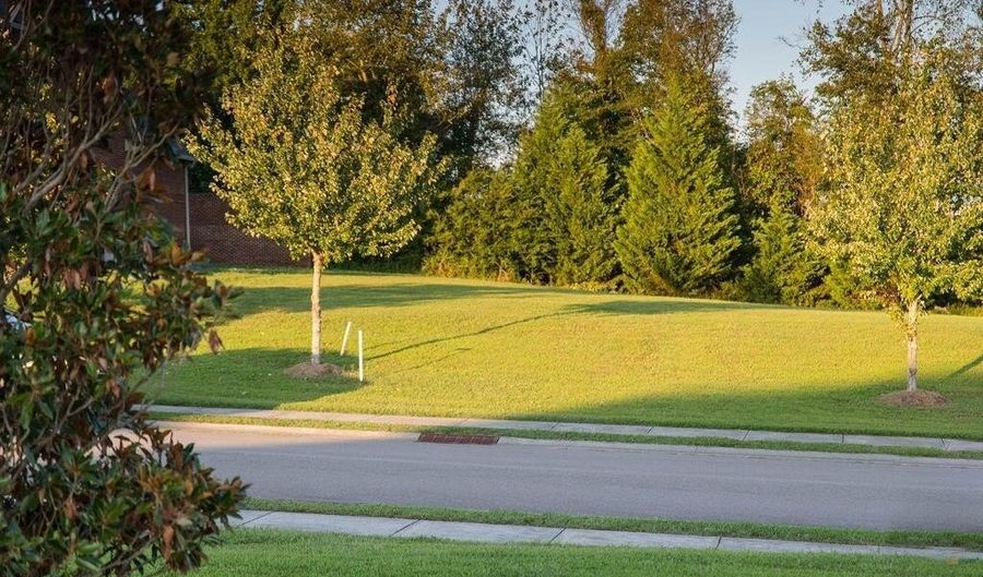 1568 Tsuga Dr, Alcoa, TN 37701 - 0 Beds, 0 Bath