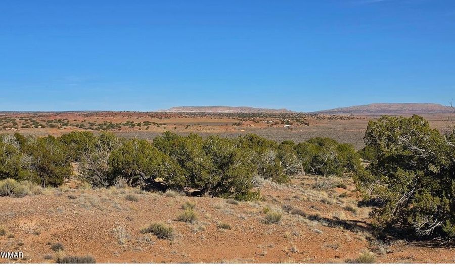 Lazy South Ranch Road lot 632, Concho, AZ 85924 - 1 Beds, 0 Bath
