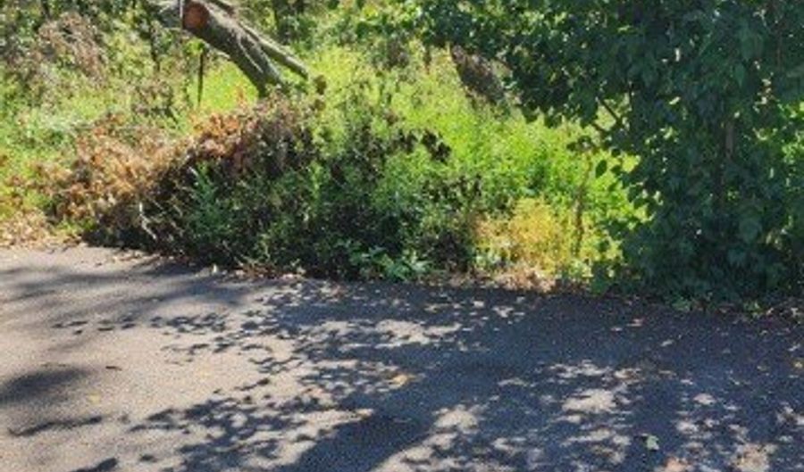 0 Watson Rd, Allegheny Twp., PA 15613 - 0 Beds, 0 Bath