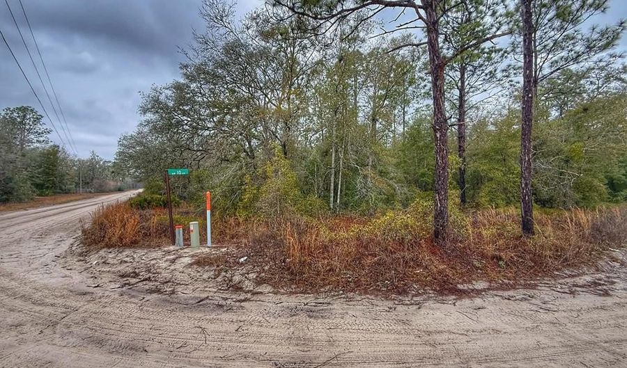 NW 10th Ave, Bell, FL 32619 - 0 Beds, 0 Bath