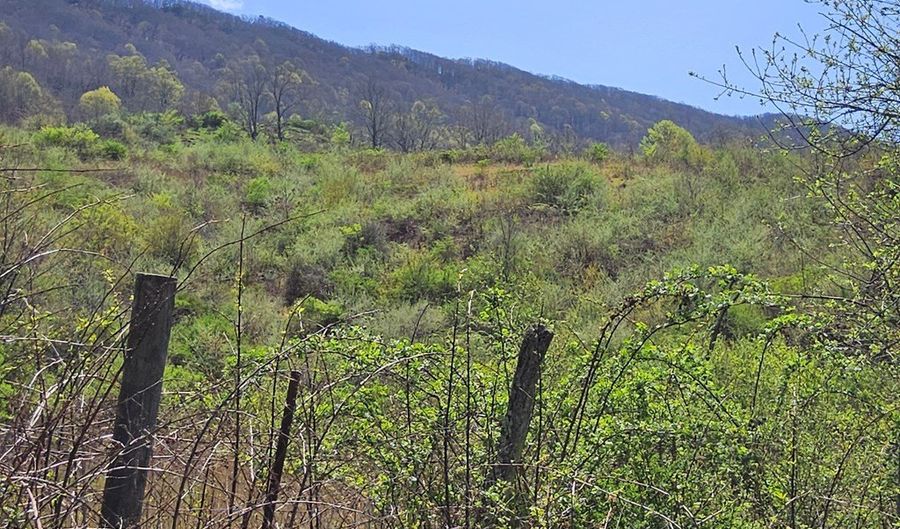 Tbd Clear Fork Creek Road, Bastian, VA 24314 - 0 Beds, 0 Bath