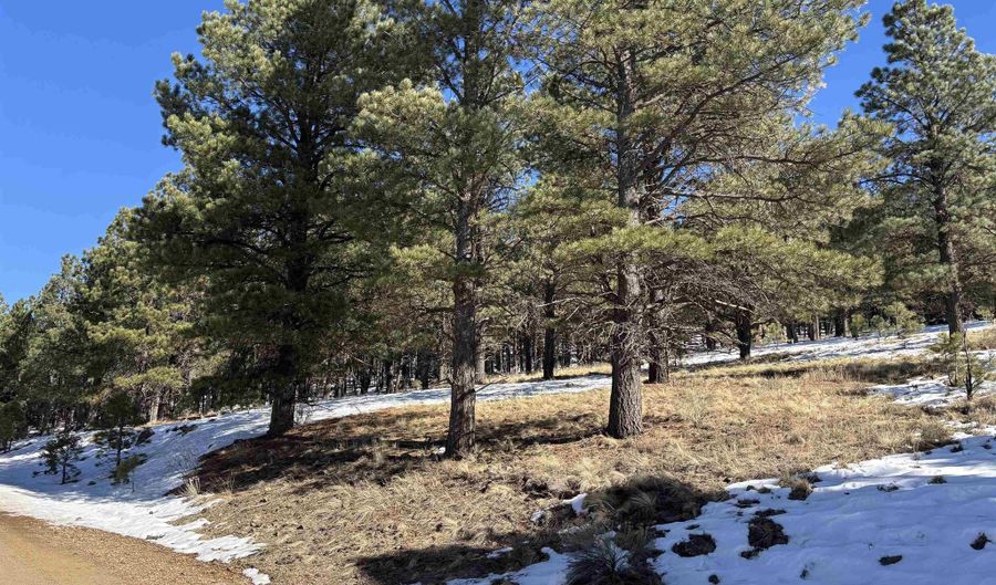 Lot 19 Buckskin Rd, Angel Fire, NM 87710 - 0 Beds, 0 Bath