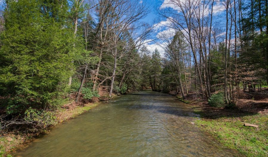 Lot 107 Whitewater Preserve Parkway, Bruceton Mills, WV 26525 - 0 Beds, 0 Bath