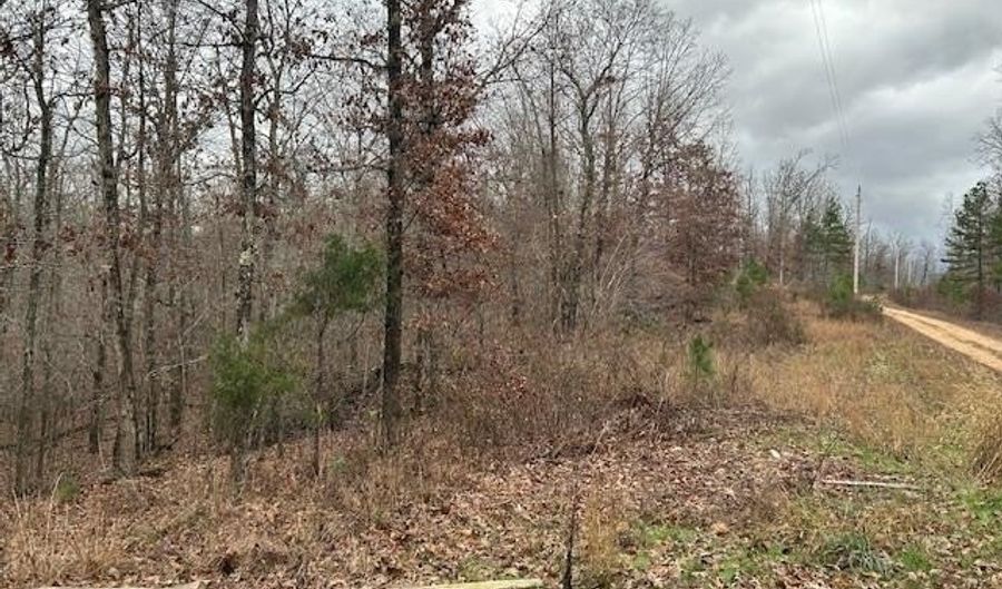 1 Hwy 49, Annapolis, MO 63620 - 1 Beds, 0 Bath