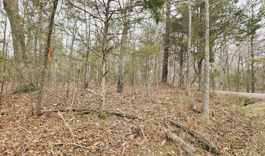 Ramblingwood Dr, Big Sandy, TN 38221 - 0 Beds, 0 Bath