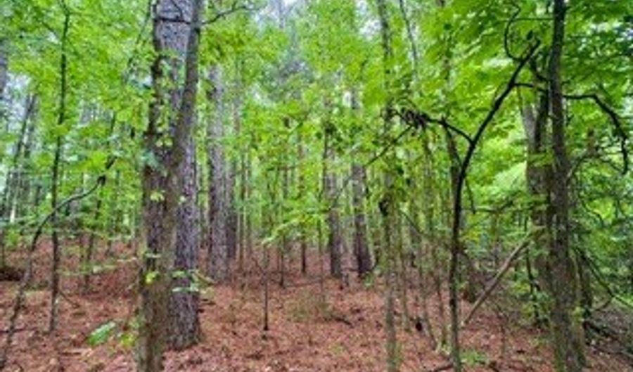 CR 265, Bruce, MS 38915 - 0 Beds, 0 Bath