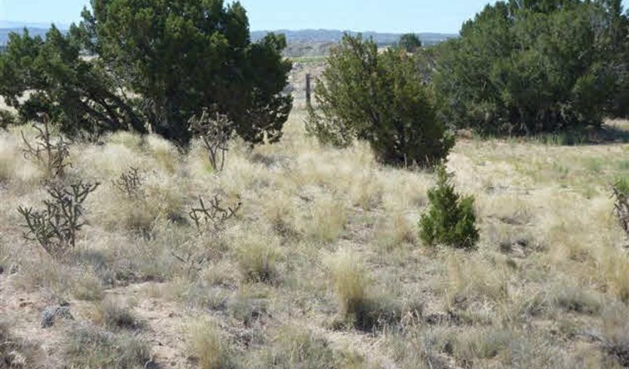 Tract C C-1-A-1-A OF COTTONWOOD, Embudo, NM 87582 - 0 Beds, 0 Bath