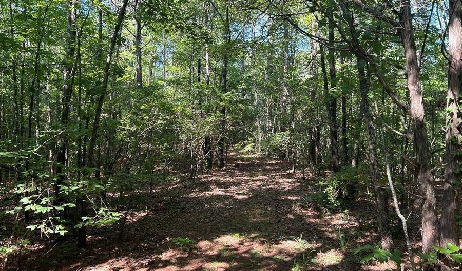 Reeves Road, Ashland, MS 38603 - 0 Beds, 0 Bath