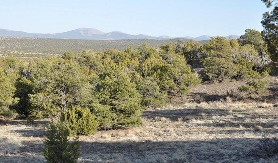 20 County Road 3044, Concho, AZ 85924 - 0 Beds, 0 Bath