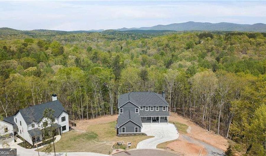 394 SETTLERS Rdg, Ball Ground, GA 30107 - 6 Beds, 6 Bath