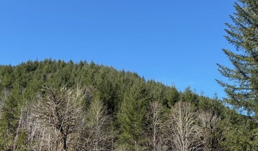Logsden Rd, Blodgett, OR 97326 - 0 Beds, 0 Bath