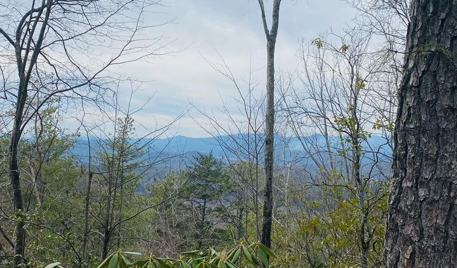 Lot 46 Ridge View Drive, Andrews, NC 28901 - 0 Beds, 0 Bath