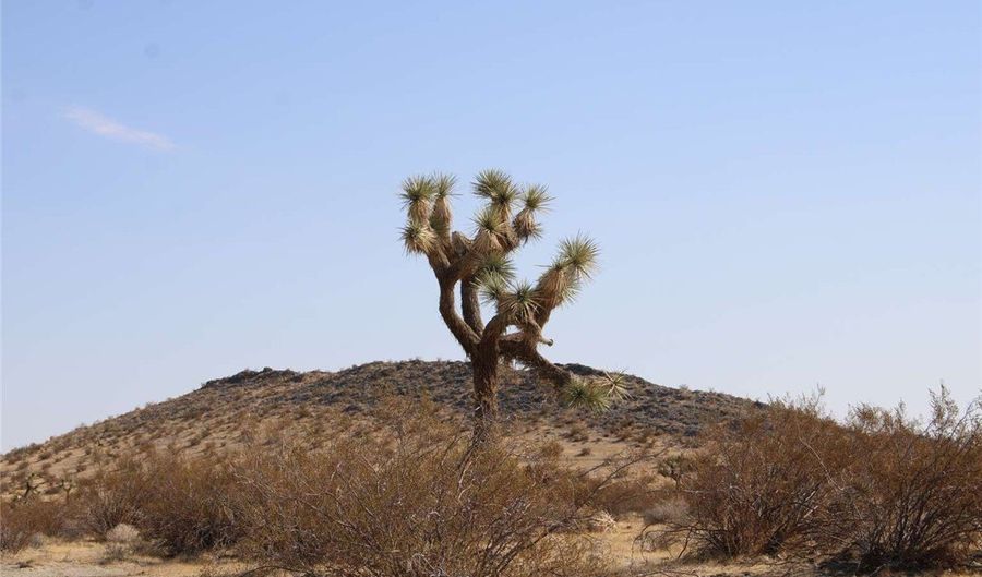 20 Lessing Ave, Adelanto, CA 92301 - 0 Beds, 0 Bath