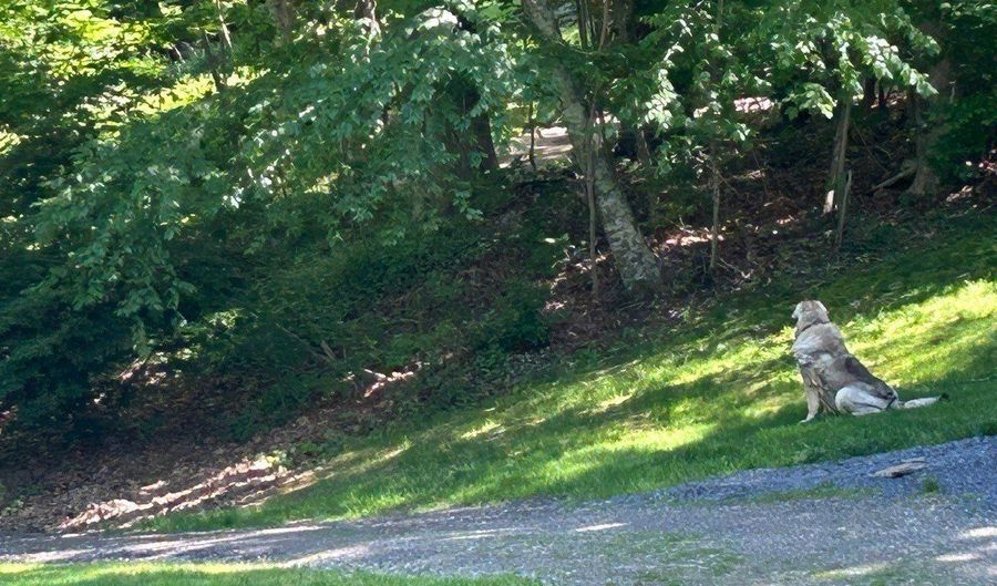 85 McVeagh Rd, Westbrook, CT 06498 - 4 Beds, 3 Bath