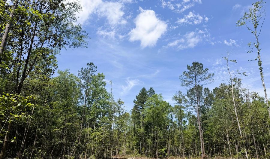301 C1, Brooklyn, MS 39425 - 0 Beds, 0 Bath